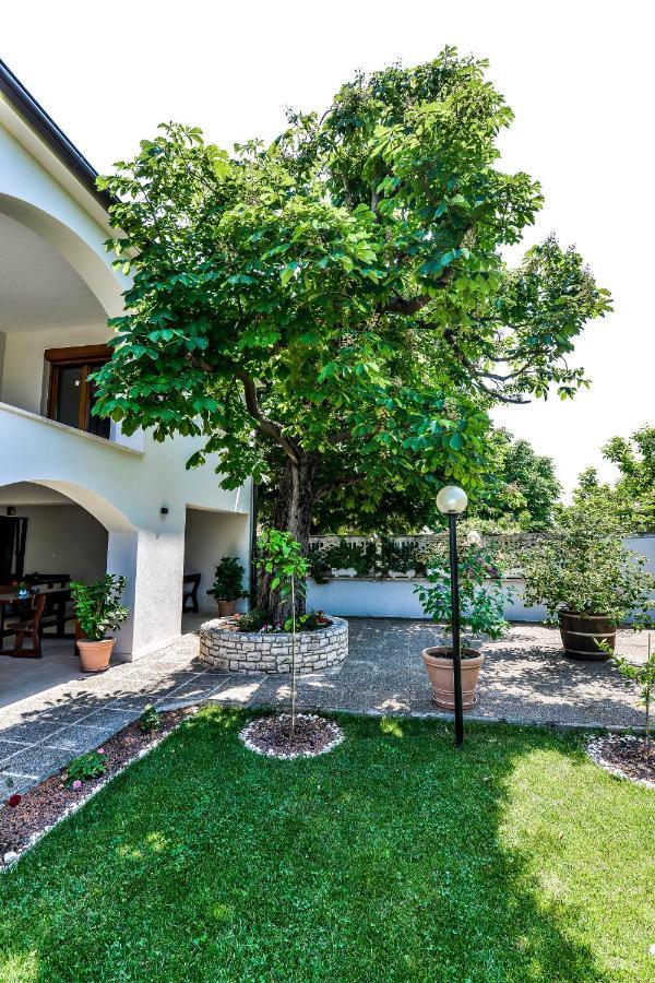 Casa Istriana Dajla * Novigrad Istria